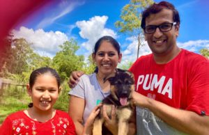 Nala 8 week old female german shepherd female puppy new owners